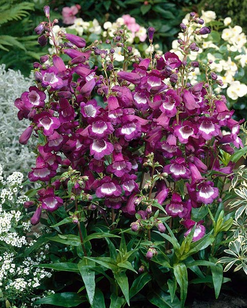 Does your garden work for you