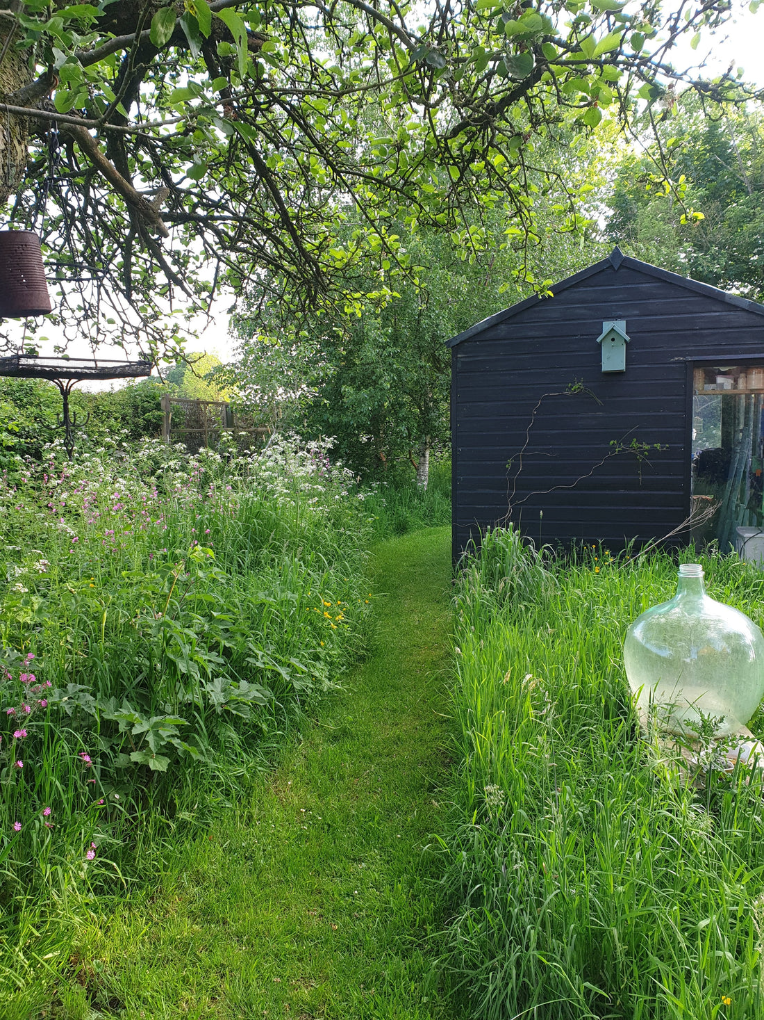 Finding the Perfect Plants to Surround a Seating Area in Your Garden