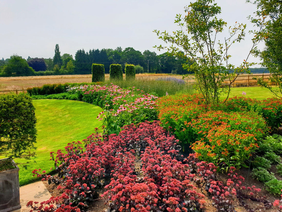 Why choose Horticulture as a career.