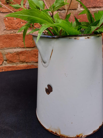 Enamel jug, medium sized