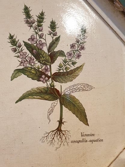 Vintage florentine botanical tray